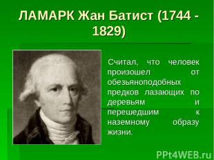 ЛАМАРК Жан Батист (1744 - 1829) Считал, что человек произошел от обезьяноподобны