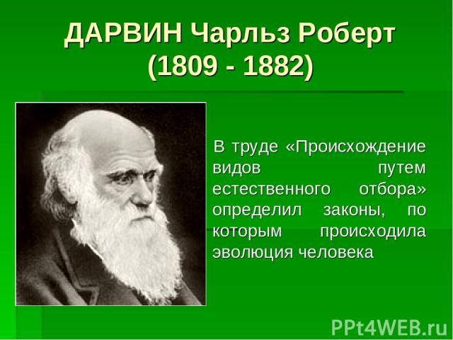 ДАРВИН Чарльз Роберт (1809 - 1882) В труде «Происхождение видов путем естественного отбора» определил законы, по которым происходила эволюция человека