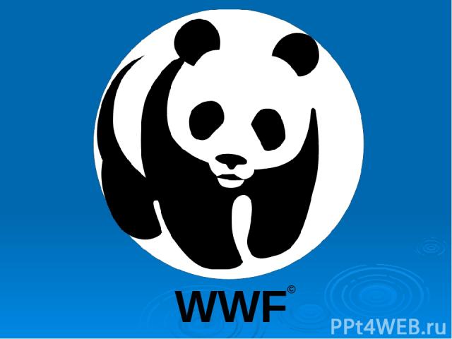 WWF ©
