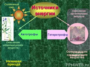 Источники энергии Органические вещества Солнечный свет Окисление неорганических