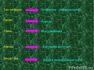 Тип питания Орган Ткань Клетки Вещества Почвенное (минеральное) Корень Всасывающ