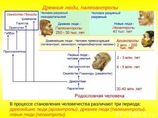 В процессе становления человечества различают три периода: древнейшие люди (арха