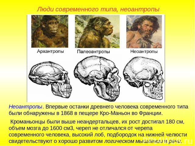Люди современного типа, неоантропы Неоантропы. Впервые останки древнего человека современного типа были обнаружены в 1868 в пещере Кро-Маньон во Франции. Кроманьонцы были выше неандертальцев, их рост достигал 180 см, объем мозга до 1600 см3, череп н…