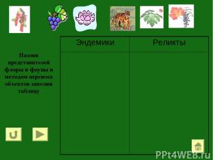 Назови представителей флоры и фауны и методом переноса объектов заполни таблицу