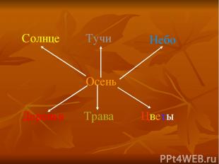 Осень Солнце Тучи Небо Деревья Трава Цветы