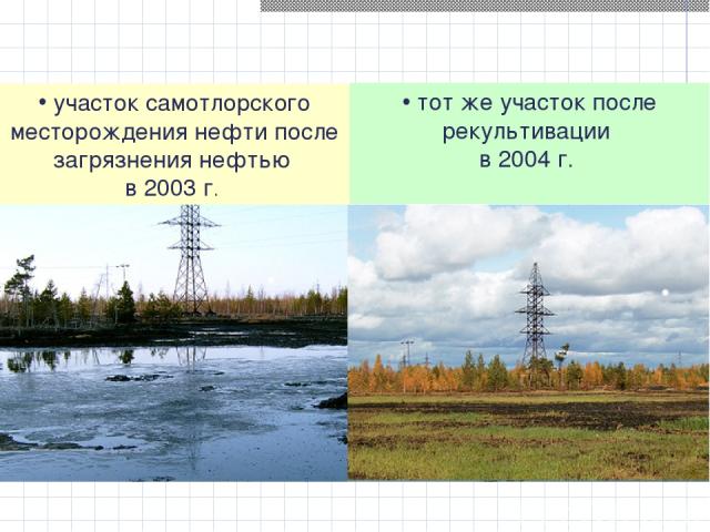 участок самотлорского месторождения нефти после загрязнения нефтью в 2003 г. тот же участок после рекультивации в 2004 г.