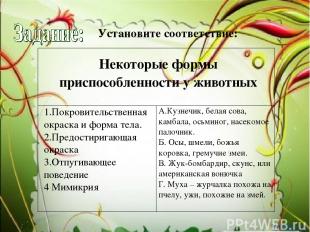 Установите соответствие: Yarilka.ru Некоторые формы приспособленности у животных