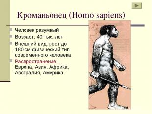 Кроманьонец (Homo sapiens) Человек разумный Возраст: 40 тыс. лет Внешний вид: ро