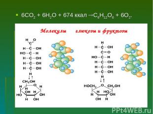 6СО2 + 6Н2О + 674 ккал С6Н12О6 + 6О2. Молекулы глюкозы и фруктозы