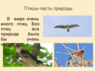 Птицы-часть природы В мире очень много птиц. Без птиц вся природа была бы очень