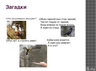 Загадки 2)Всех перелётных птиц черней, Чистит пашню от червей, Взад-вперёд по па