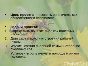 Цель проекта - выявить роль пчелы как общественного насекомого Задачи проекта: О