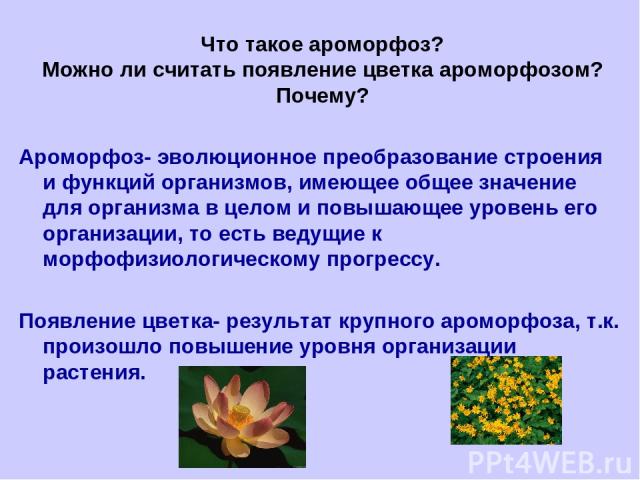 Что такое ароморфоз? Можно ли считать появление цветка ароморфозом? Почему? Ароморфоз- эволюционное преобразование строения и функций организмов, имеющее общее значение для организма в целом и повышающее уровень его организации, то есть ведущие к мо…