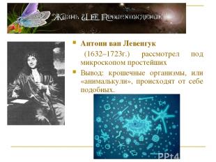 Антони ван Левенгук (1632–1723г.) рассмотрел под микроскопом простейших Вывод: к