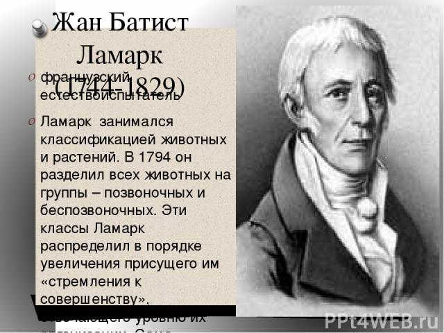 Жан Батист Ламарк (1744-1829) французский естествоиспытатель Ламарк занимался классификацией животных и растений. В 1794 он разделил всех животных на группы – позвоночных и беспозвоночных. Эти классы Ламарк распределил в порядке увеличения присущего…