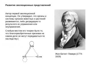 Развитие эволюционных представлений Жан-Батист Ламарк (1774-1829) Автор первой э