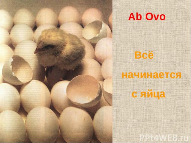 Ab Ovo Всё начинается с яйца