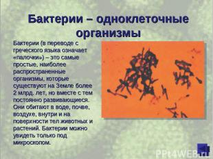Бактерии – одноклеточные организмы Бактерии (в переводе с греческого языка означ