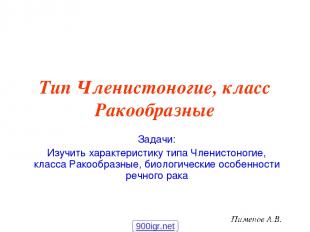 Тип Членистоногие, класс Ракообразные Задачи: Изучить характеристику типа Членис