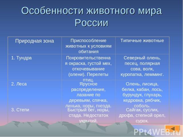 Особенности животного мира России  