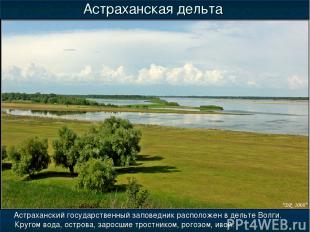 Астраханская дельта Астраханский государственный заповедник расположен в дельте