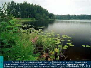 Валдайский национальный парк образован с целью сохранения уникального озерно-лес