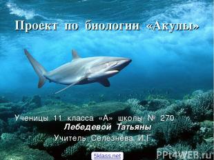 Проект по биологии «Акулы» Ученицы 11 класса «А» школы № 270 Лебедевой Татьяны У