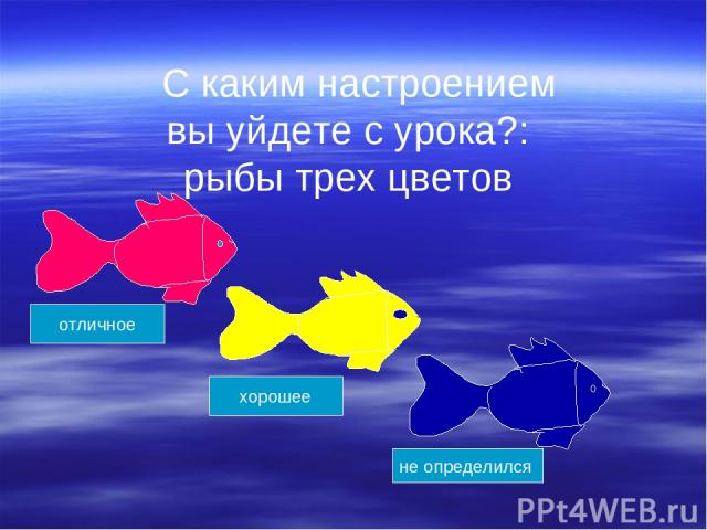 С каким настроением вы уйдете с урока?: рыбы трех цветов отличное хорошее не определился