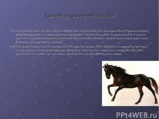 Кабардинская порода лошадей Одна из старейших пород лошадей Северного Кавказа. Э