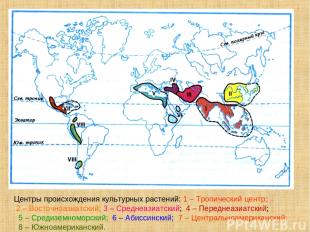 Центры происхождения культурных растений: 1 – Тропический центр; 2 – Восточноази