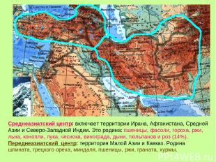 Среднеазиатский центр: включает территории Ирана, Афганистана, Средней Азии и Се