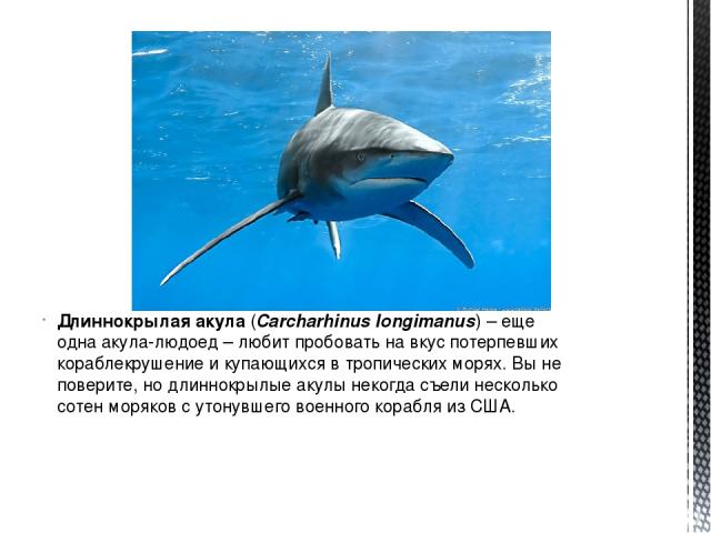 Длиннокрылая акула (Carcharhinus longimanus) – еще одна акула-людоед – любит пробовать на вкус потерпевших кораблекрушение и купающихся в тропических морях. Вы не поверите, но длиннокрылые акулы некогда съели несколько сотен моряков с утонувшего вое…