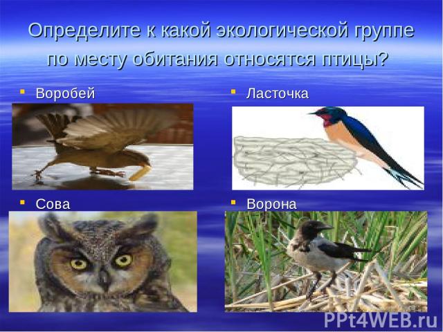 Определите к какой экологической группе по месту обитания относятся птицы? Воробей Ласточка Сова Ворона