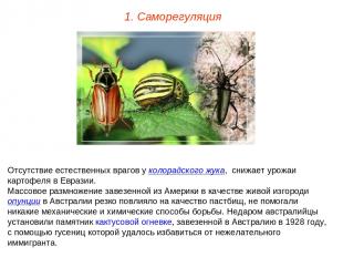 1. Саморегуляция Отсутствие естественных врагов у колорадского жука, снижает уро