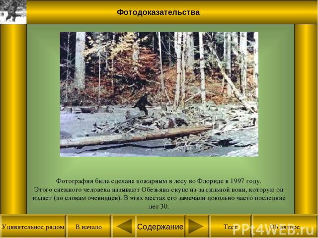 Фотодоказательства Фотография была сделана пожарным в лесу во Флориде в 1997 году. Этого снежного человека называют Обезьяна-скунс из-за сильной вони, которую он издает (по словам очевидцев). В этих местах его замечали довольно часто последние лет 3…