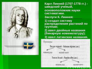 Карл Линней (1707-1778 гг.) - шведский ученый, основоположник науки систематики.