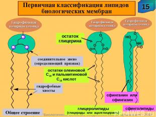 А.М. Чибиряев "Биологически активные соединения живых организмов", 2009 Общее ст