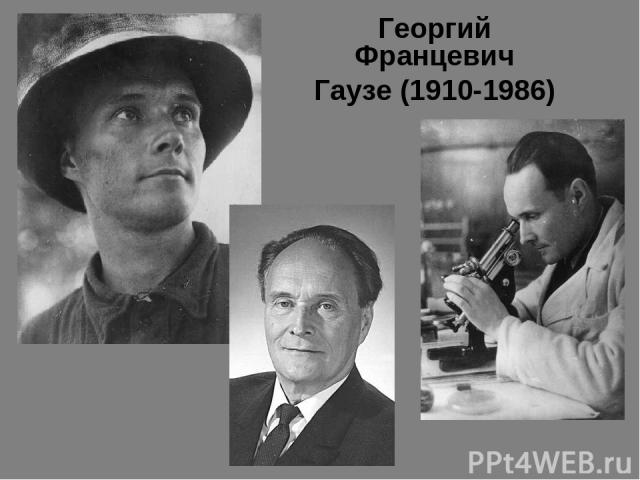 Георгий Францевич Гаузе (1910-1986)