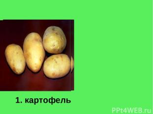 1. картофель