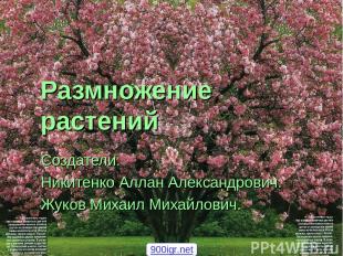 Размножение растений Создатели: Никитенко Аллан Александрович. Жуков Михаил Миха