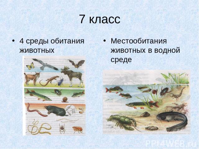 7 класс 4 среды обитания животных Местообитания животных в водной среде