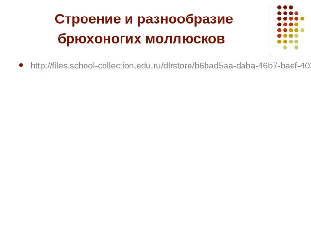 Строение и разнообразие брюхоногих моллюсков http://files.school-collection.edu.ru/dlrstore/b6bad5aa-daba-46b7-baef-403c6cd8d0f5/%5BBI7GI_5-02%5D_%5BIL_02%5D.html