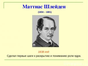 Маттиас Шлейден 1838 год Сделал первые шаги к раскрытию и пониманию роли ядра. (