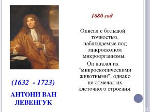 АНТОНИ ВАН ЛЕВЕНГУК 1680 год Описал с большой точностью, наблюдаемые под микроск