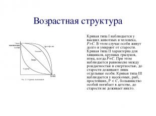 Возрастная структура Кривая типа I наблюдается у высших животных и человека, Р>С