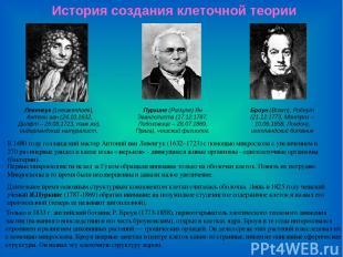 История создания клеточной теории Пуркине (Purkyne) Ян Эвангелиста (17.12.1787,