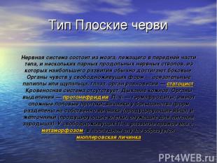 Тип Плоские черви Нервная система состоит из мозга, лежащего в передней части те