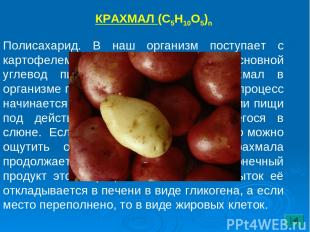 КРАХМАЛ (С5Н10О5)n Полисахарид. В наш организм поступает с картофелем, зерновыми
