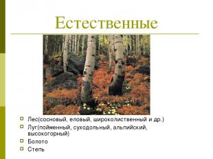 Естественные Лес(сосновый, еловый, широколиственный и др.) Луг(пойменный, суходо