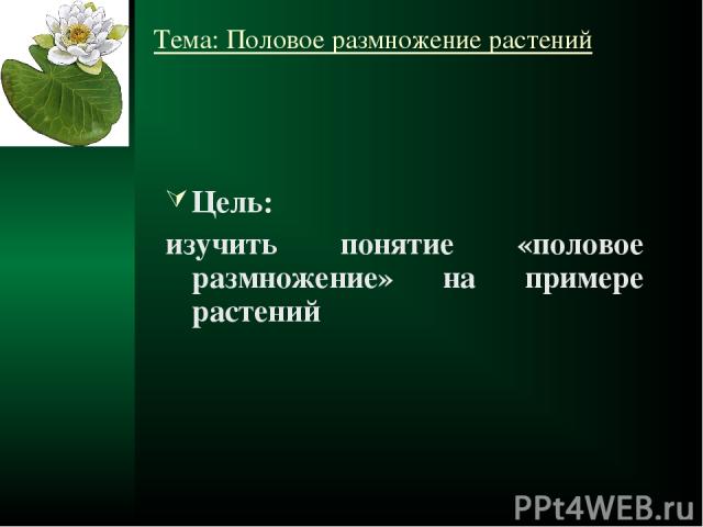 Тема: Половое размножение растений Цель: изучить понятие «половое размножение» на примере растений